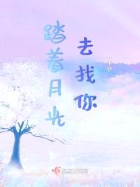 踏着月光去找你封面