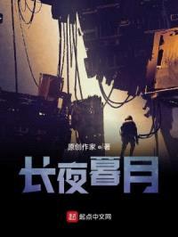 长夜暮月封面