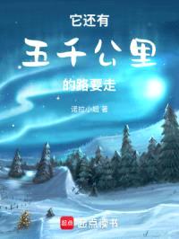 它还有五千公里的路要走封面