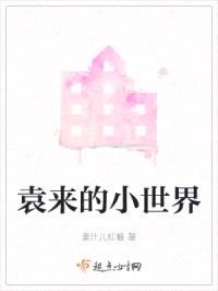 袁来的小世界封面