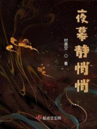 夜幕静悄悄封面
