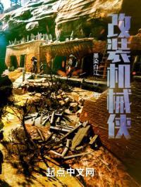 改装机械侠封面