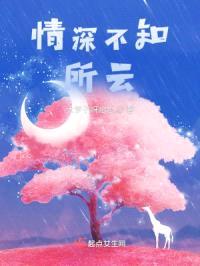 情深不知所云封面