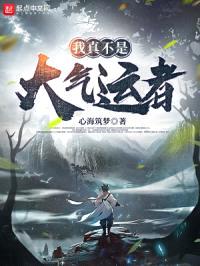 我真不是大气运者封面