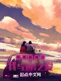 向暗香盈袖封面