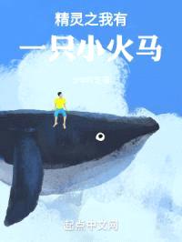 精灵之我有一只小火马封面