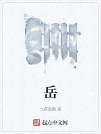 岳天奴传奇封面