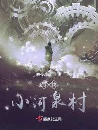 寻找小河泉村封面