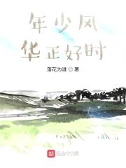 年少风华正好时封面