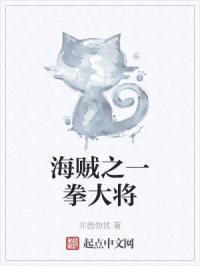 海贼之一拳大将封面