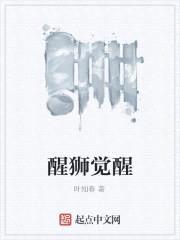 大清中兴封面