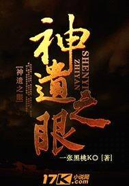神遗之眼封面