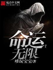 命运之钢铁封面