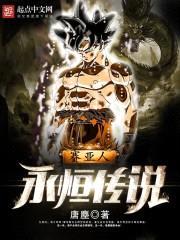 赛亚人永恒传说封面