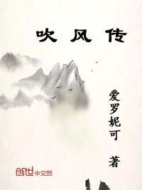 吹风传封面